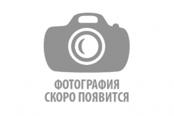 nophoto-587x39191